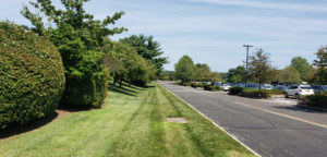 Greenway Plaza Driveway